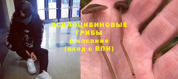 PSILOCYBIN Абдулино