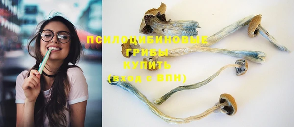 PSILOCYBIN Абдулино