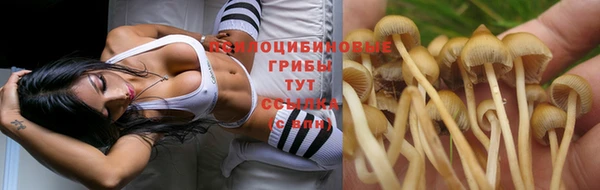 эйфоретик Абаза