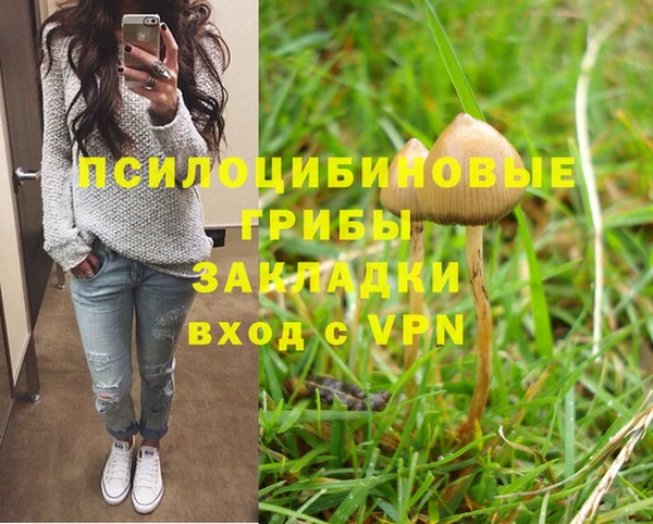 a pvp Алексин