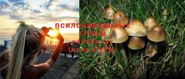 бутират Алексеевка