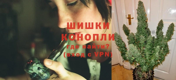 PSILOCYBIN Абдулино
