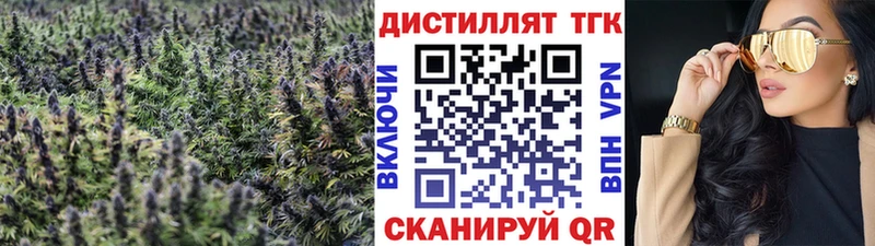 ТГК концентрат  Саранск 